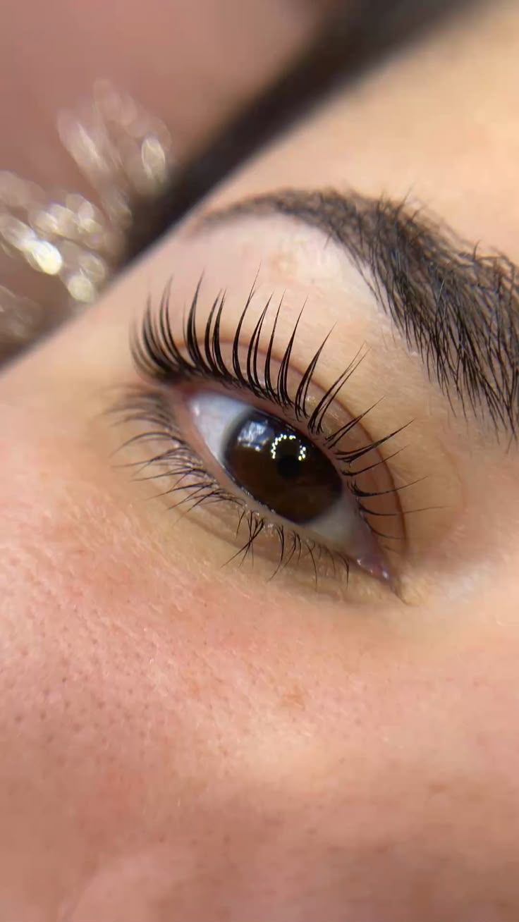 Servicio de Cejas